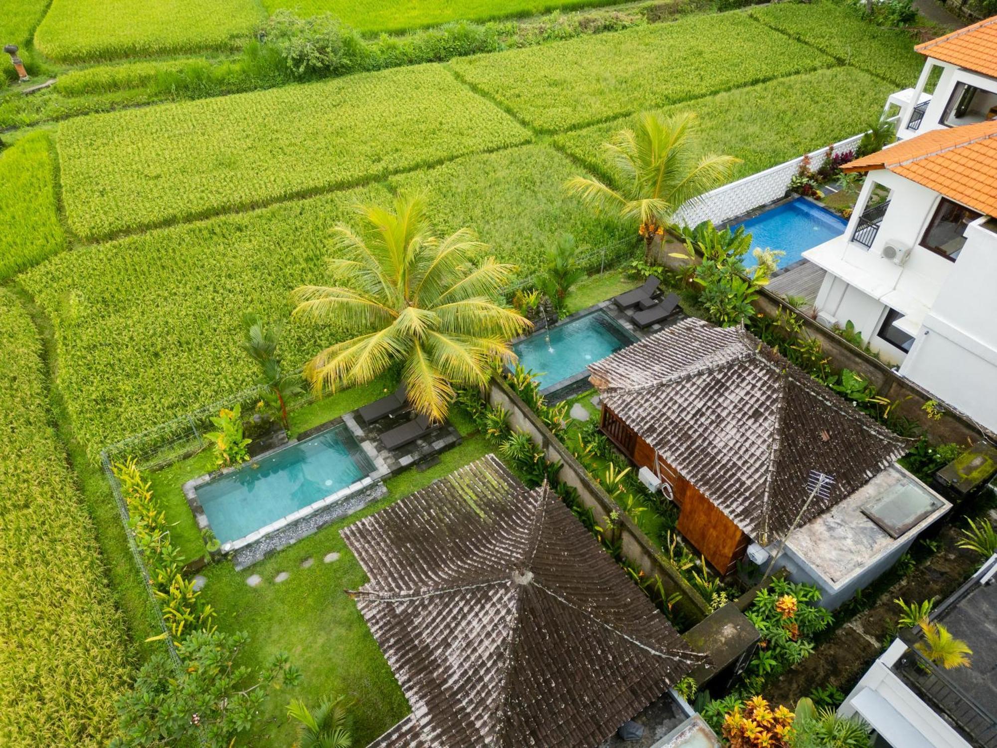 Mardika Private Villa Убуд Екстер'єр фото